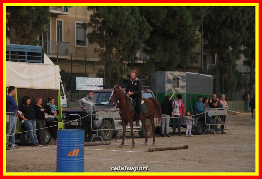 161106 equestre 097_tn.jpg